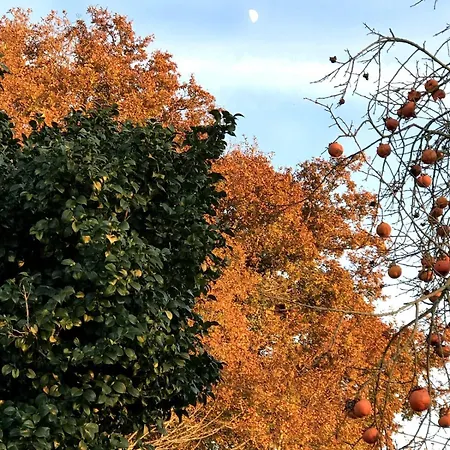 Casa Do Paco * Paredes de Coura